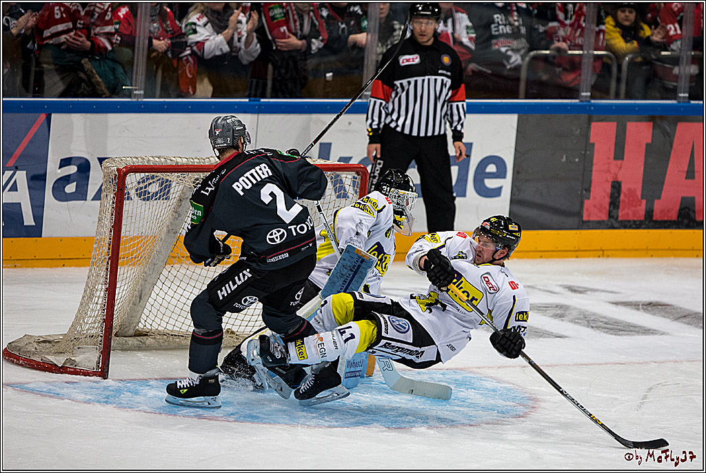 Koelner Haie - Krefelder Pinguine, 22.11.2016